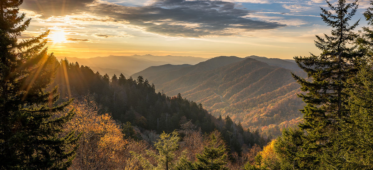 Tennessee wilderness